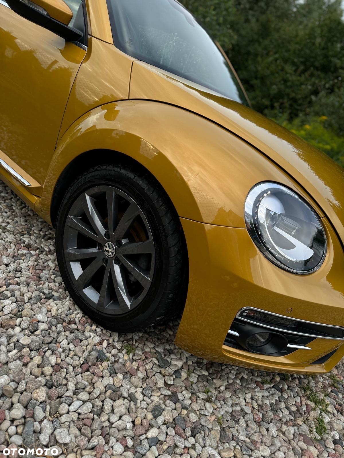 Volkswagen Beetle - 4