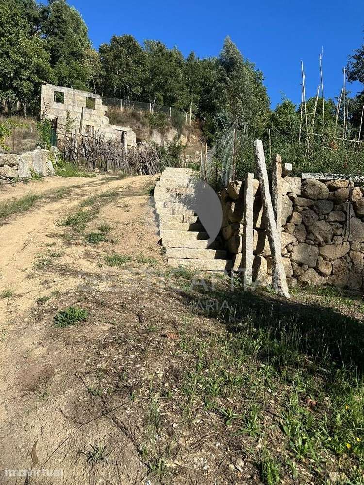 Quintinha com terreno de 4.062 m2 com vistas para o Rio Douro - Grande imagem: 3/32