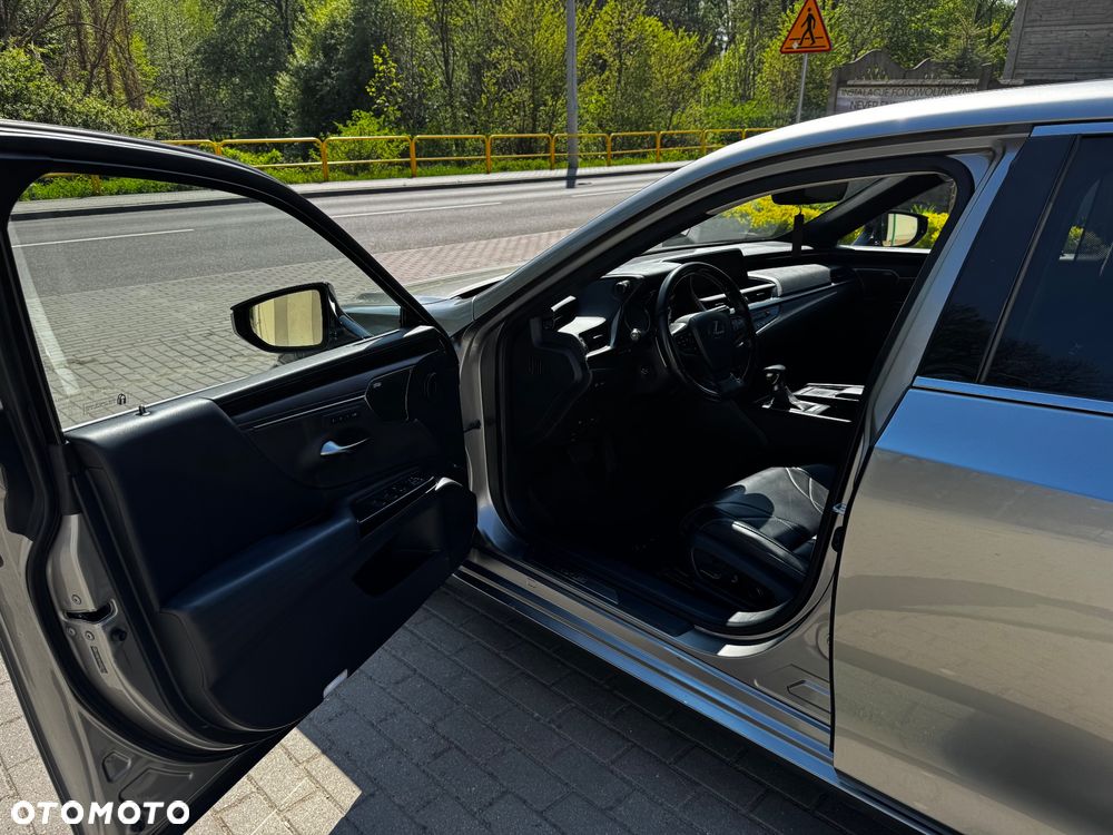 Lexus ES 300h Omotenashi - 12