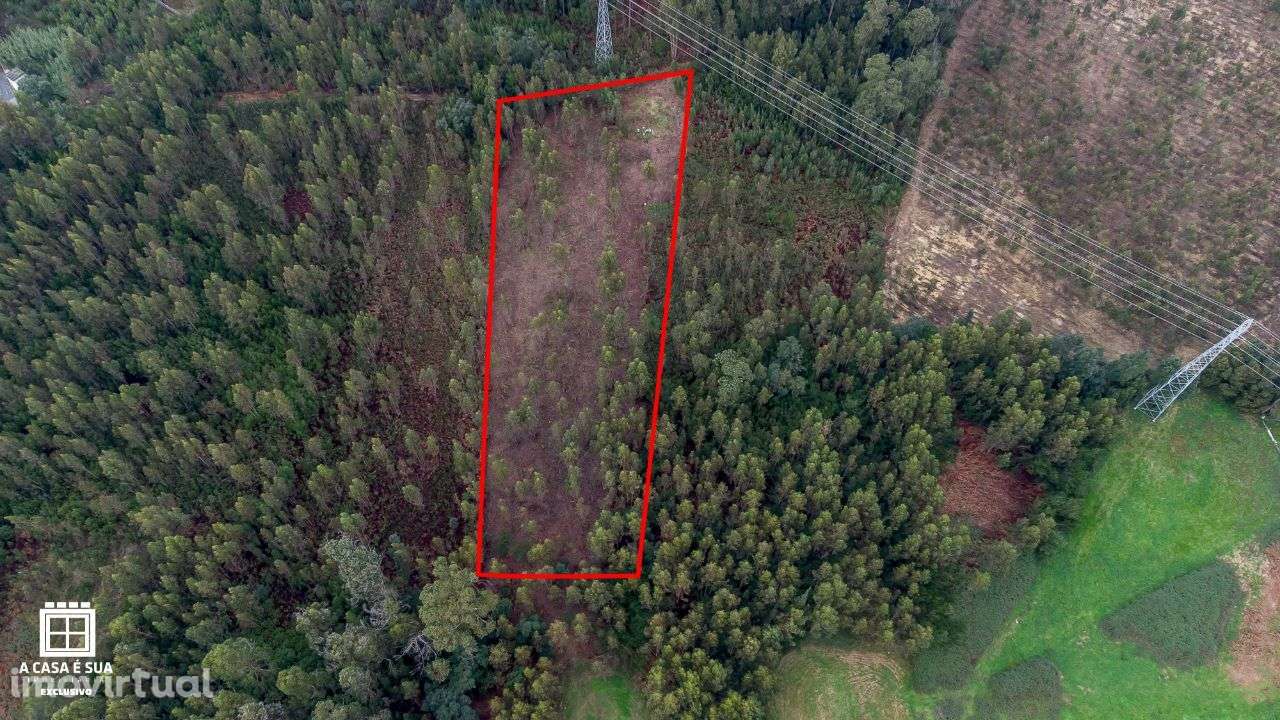 Terreno rústico na Paredinha em Rio Meão - Exclusivo - Grande imagem: 2/9