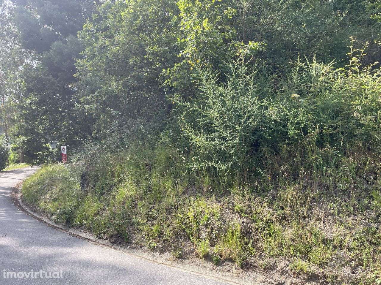 Terreno Rústico com 9000m2 na Póvoa de Lanhoso - Grande imagem: 4/5