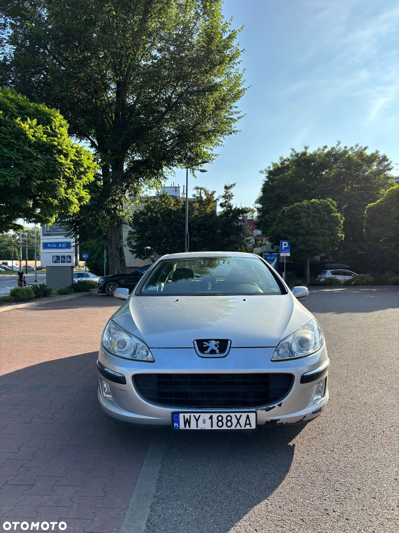 Peugeot 407 - 1