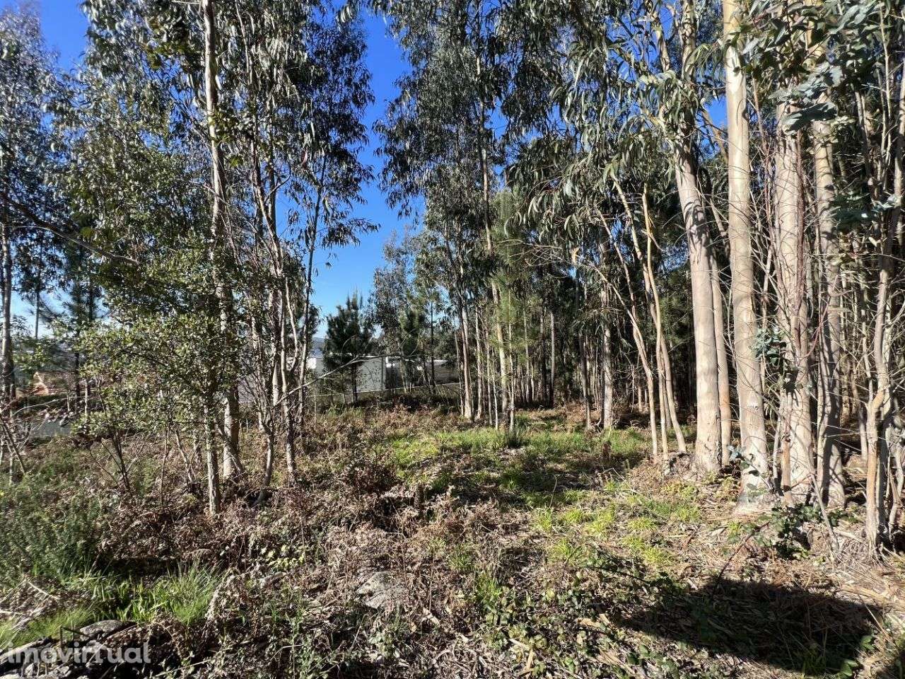 Terreno Urbano em Sandim – Excelente Oportunidade! - Grande imagem: 3/3