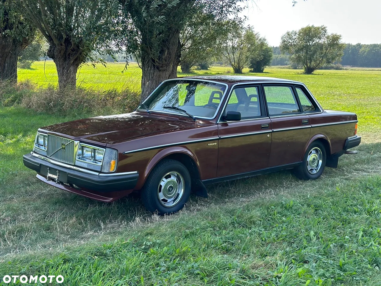 Volvo Seria 200 - 2