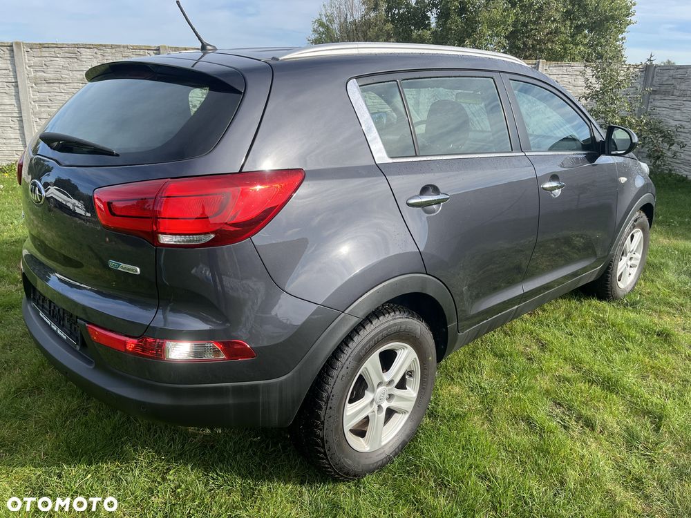 Kia Sportage - 30