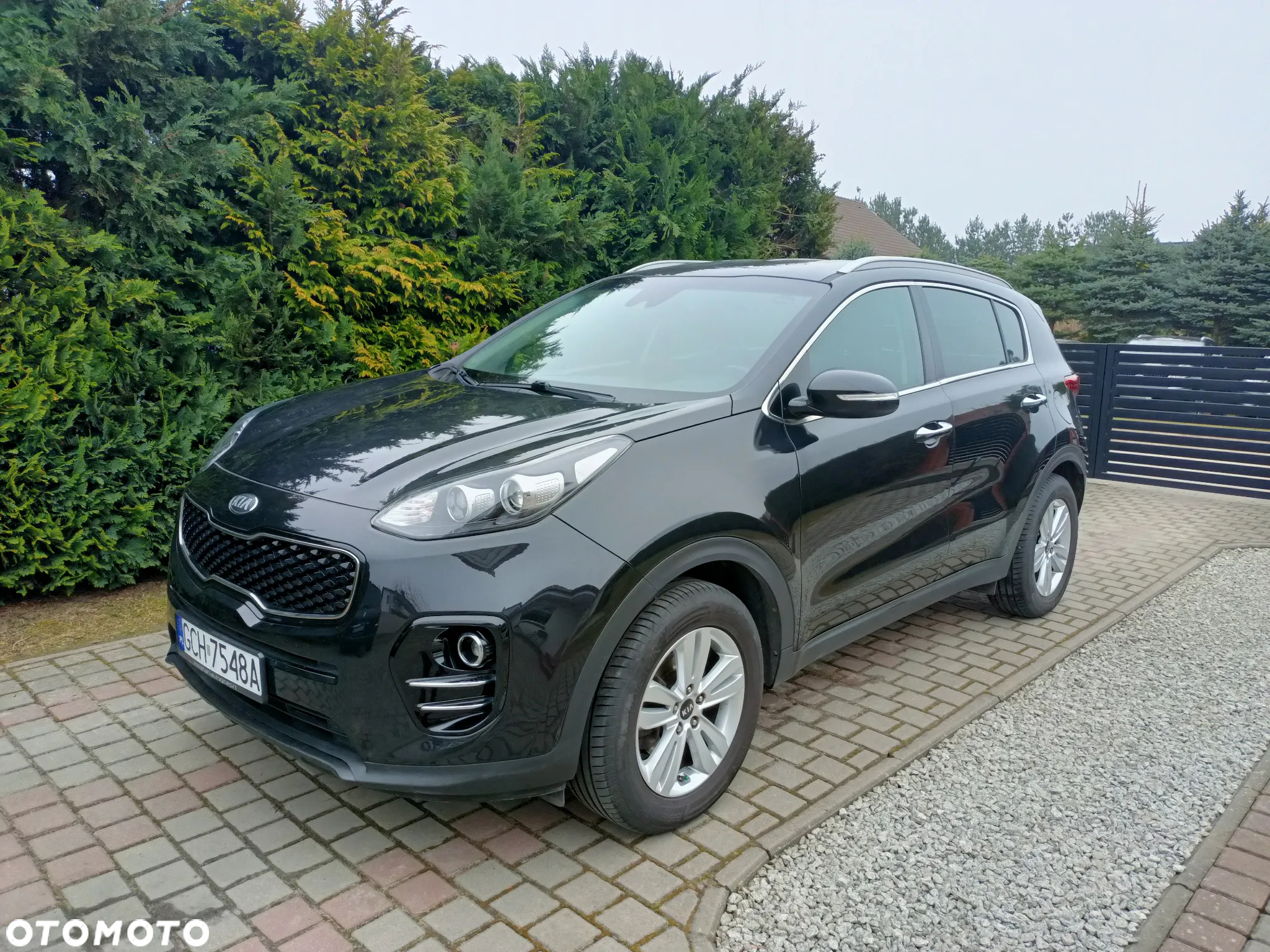 Kia Sportage - 20