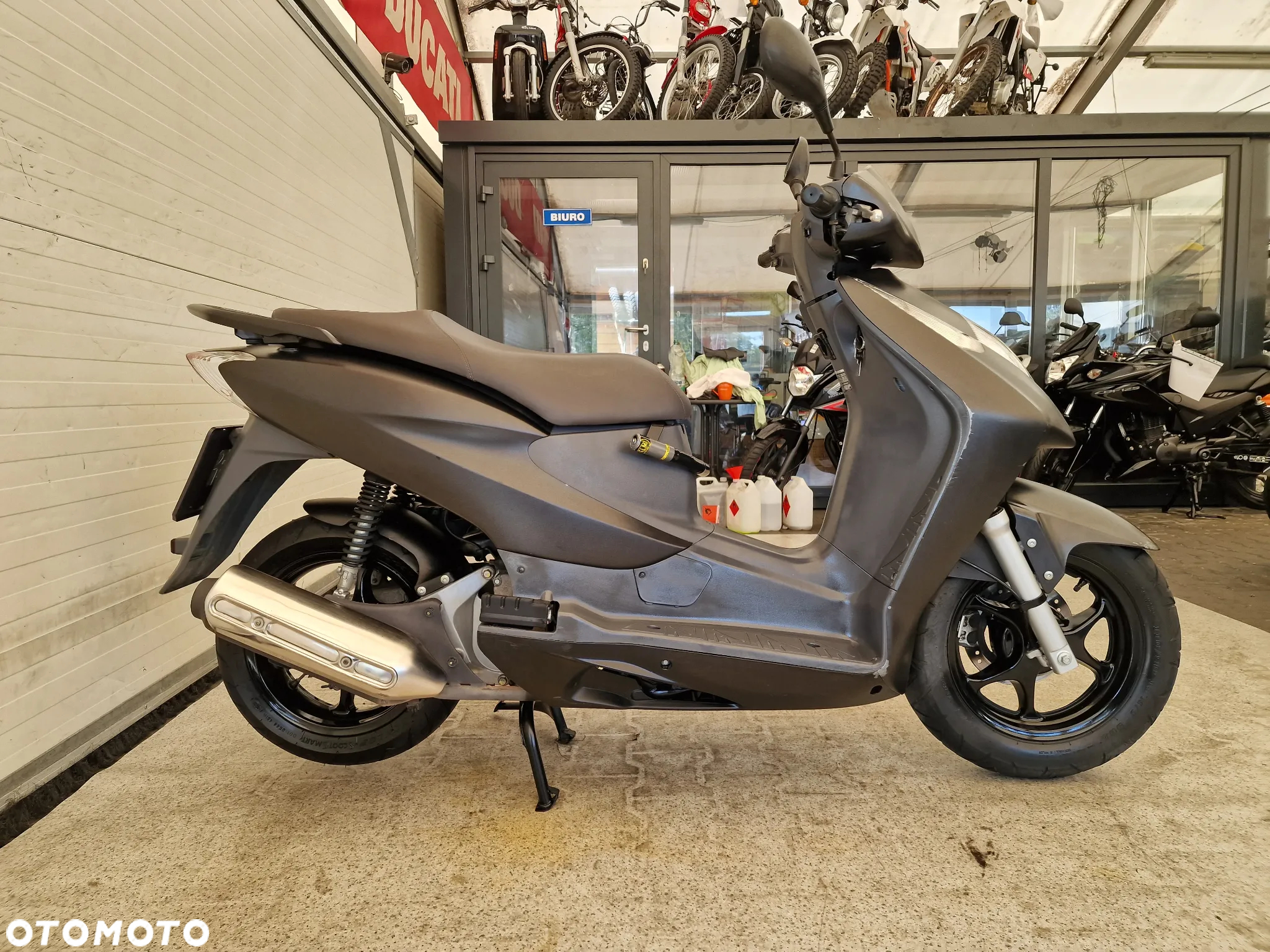 Honda Dylan - 18