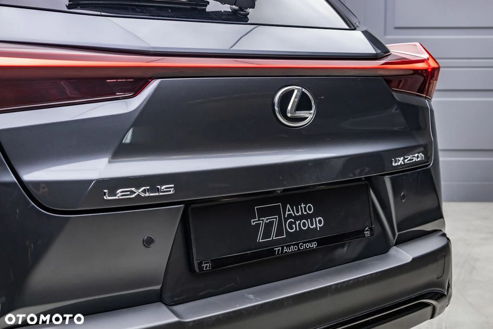 Lexus UX 250h F SPORT - 28