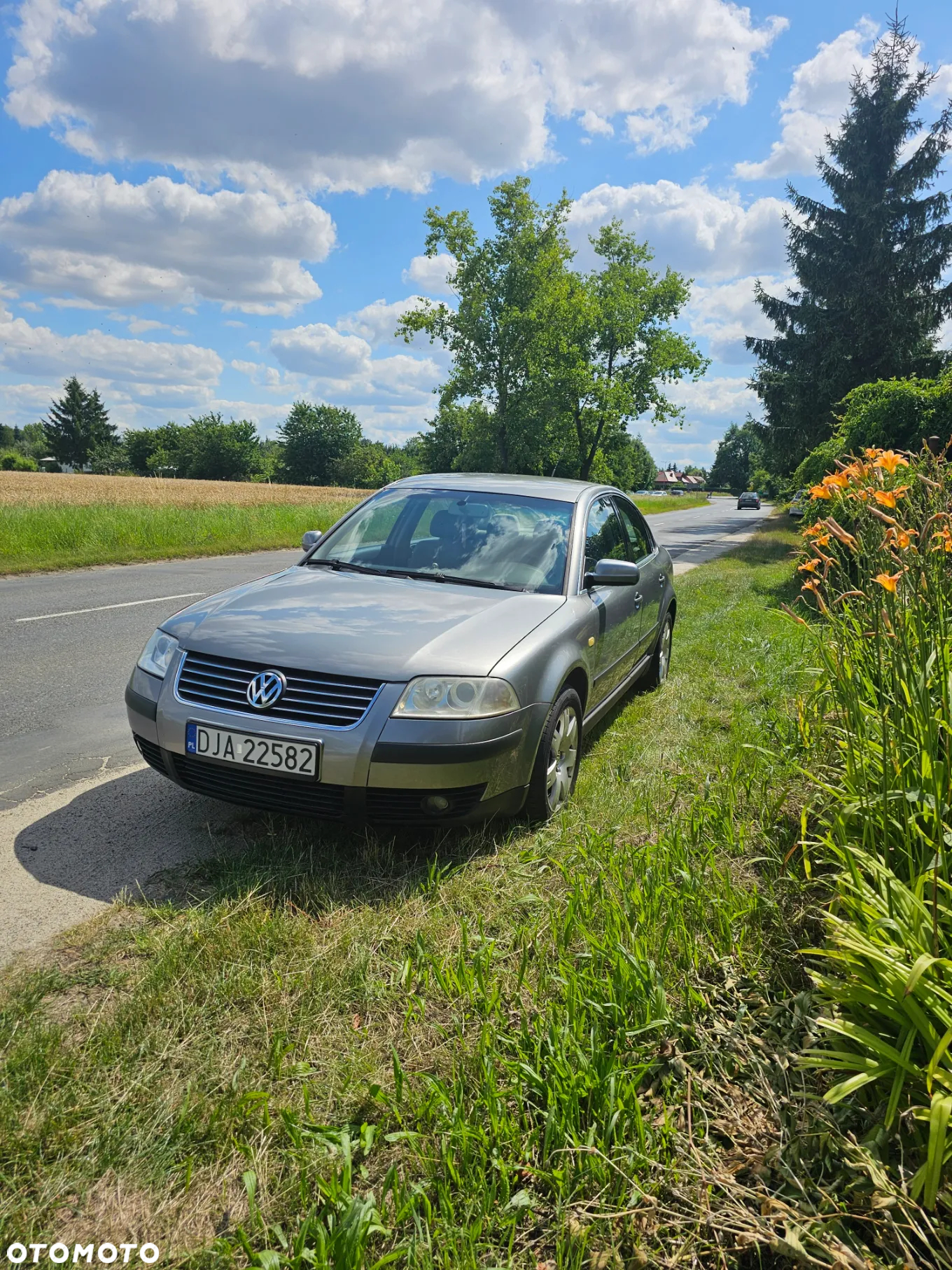 Volkswagen Passat - 2