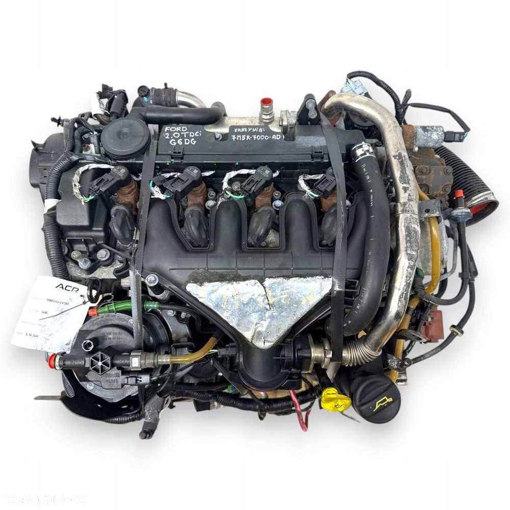 SILNIK G6DG Ford Kuga 2.0 TDCI 136KM diesel kompletny sprawny palący 140tyś - 3