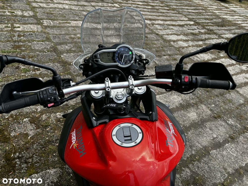 Triumph Tiger - 9