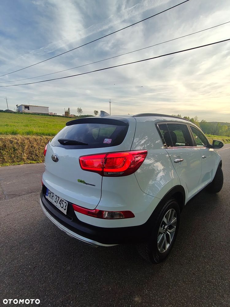 Kia Sportage - 17