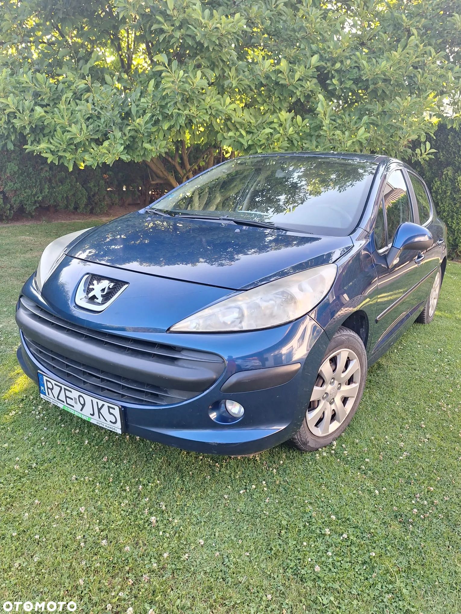 Peugeot 207 - 1