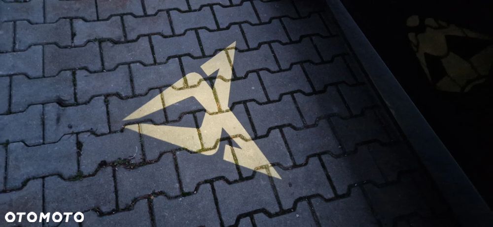 Cupra Formentor 1.5 TSI DSG Tribe Edition - 21