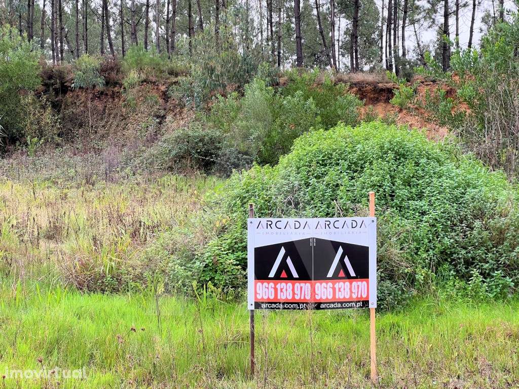 Lote de terreno para construção no Carregal, Requeixo - Grande imagem: 4/10