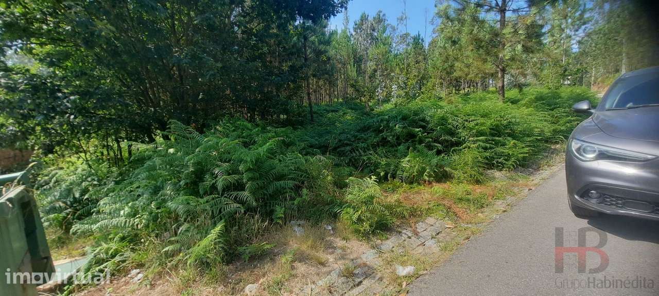 Lote de Terreno  Venda em São Miguel do Souto e Mosteirô,Santa Maria d - Grande imagem: 5/14