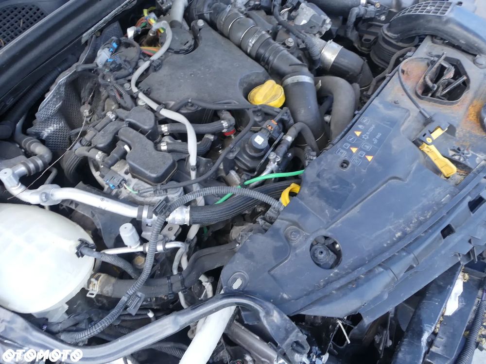 Renault Clio - 33