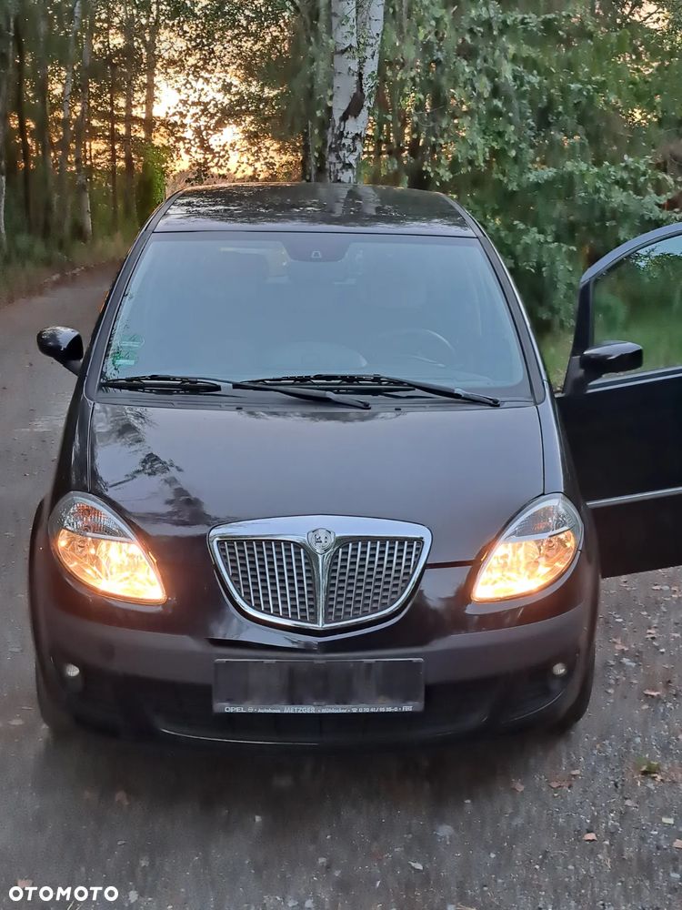 Lancia Musa 1.3 Multijet 16v Platino Plus - 21
