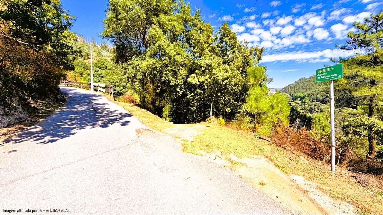 QUINTINHA T4 com 7.602m2 em Tresouras - Santa Marinha do Zêzere - Grande imagem: 5/63