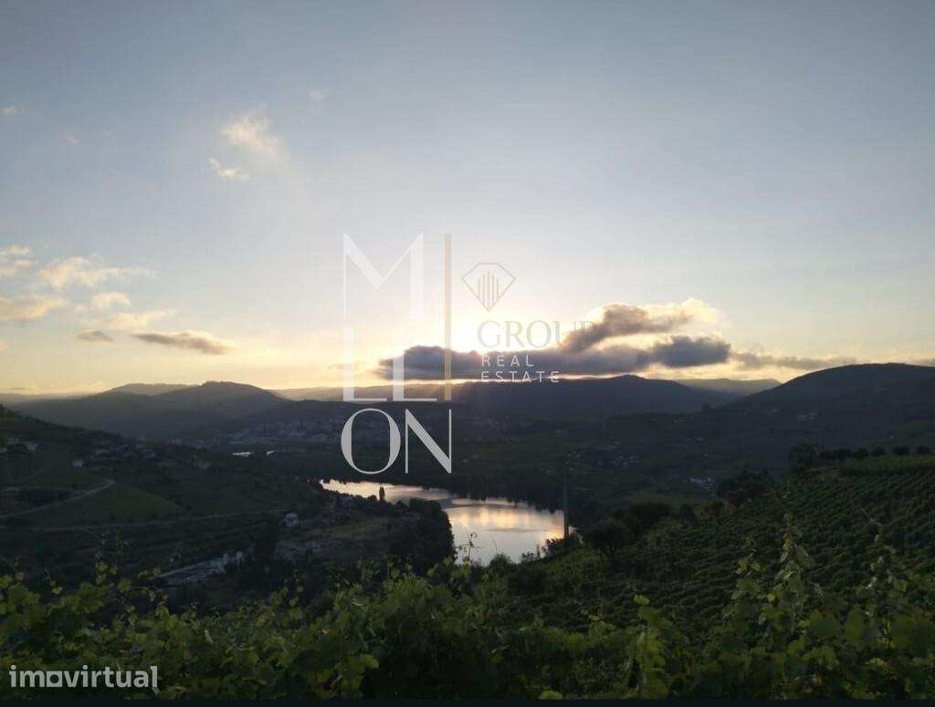 Quinta com 3 hectares e vistas desafogadas para o rio Douro - Grande imagem: 3/16