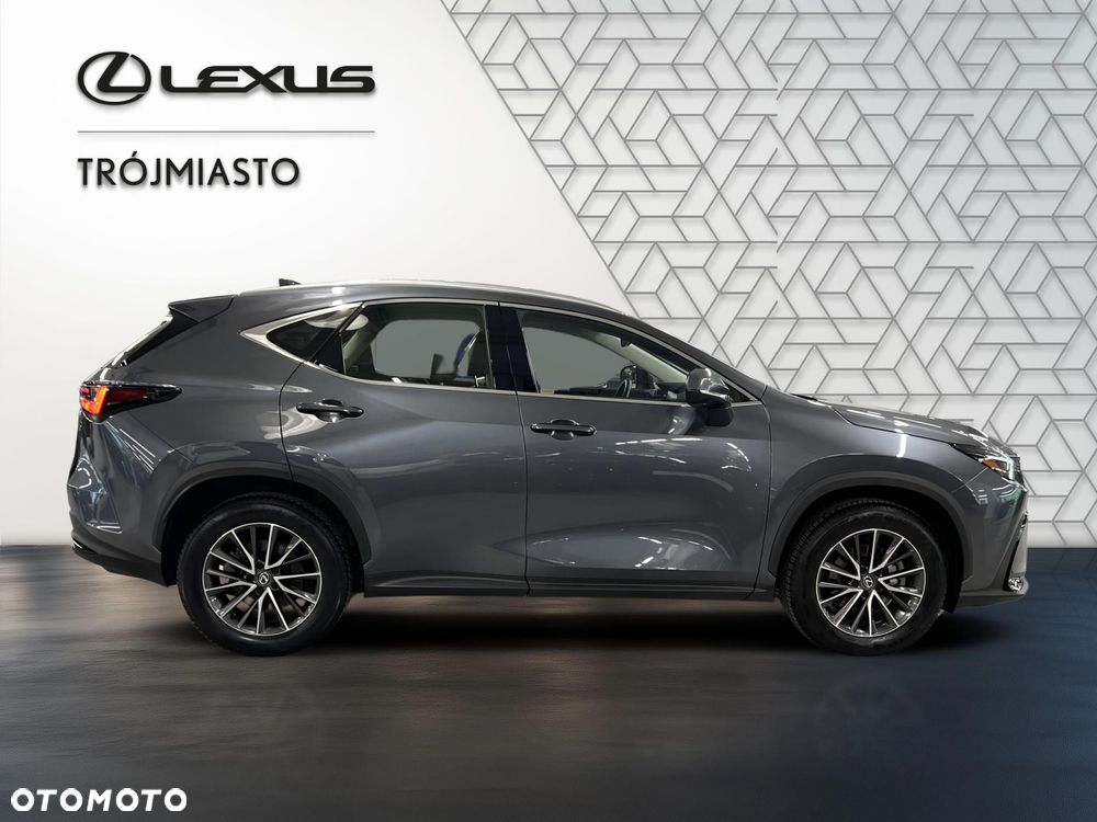 Lexus NX 350h Business AWD - 7