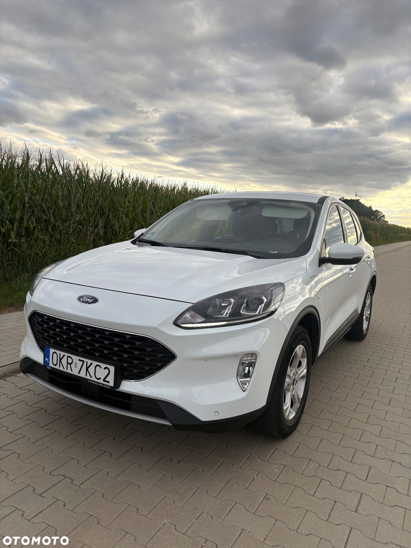 Ford Kuga - 1