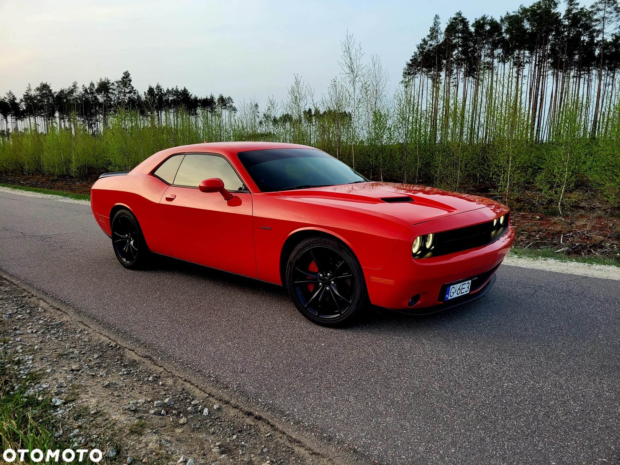 Dodge Challenger Automatik R/T Plus - 2