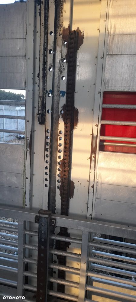 Zorzi 36s 136/19 LA - 18