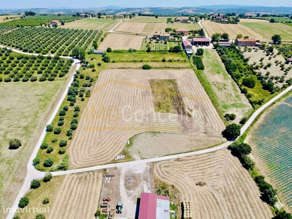 Quinta da Ilha| Torres Novas - Grande imagem: 2/60