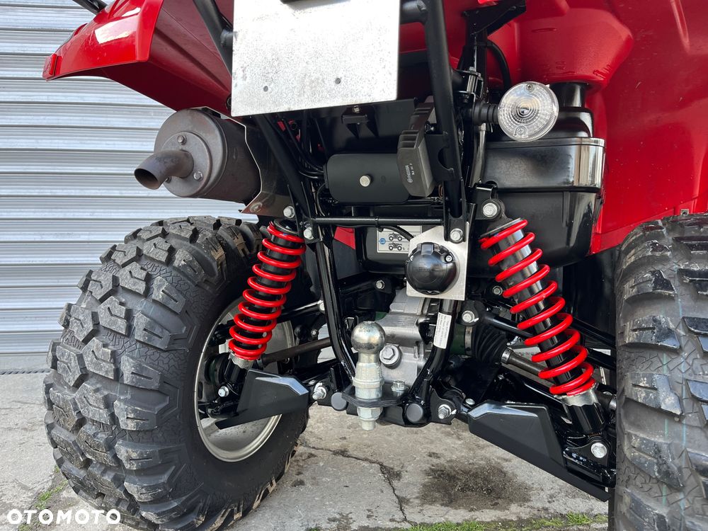 Kawasaki Brute Force - 18