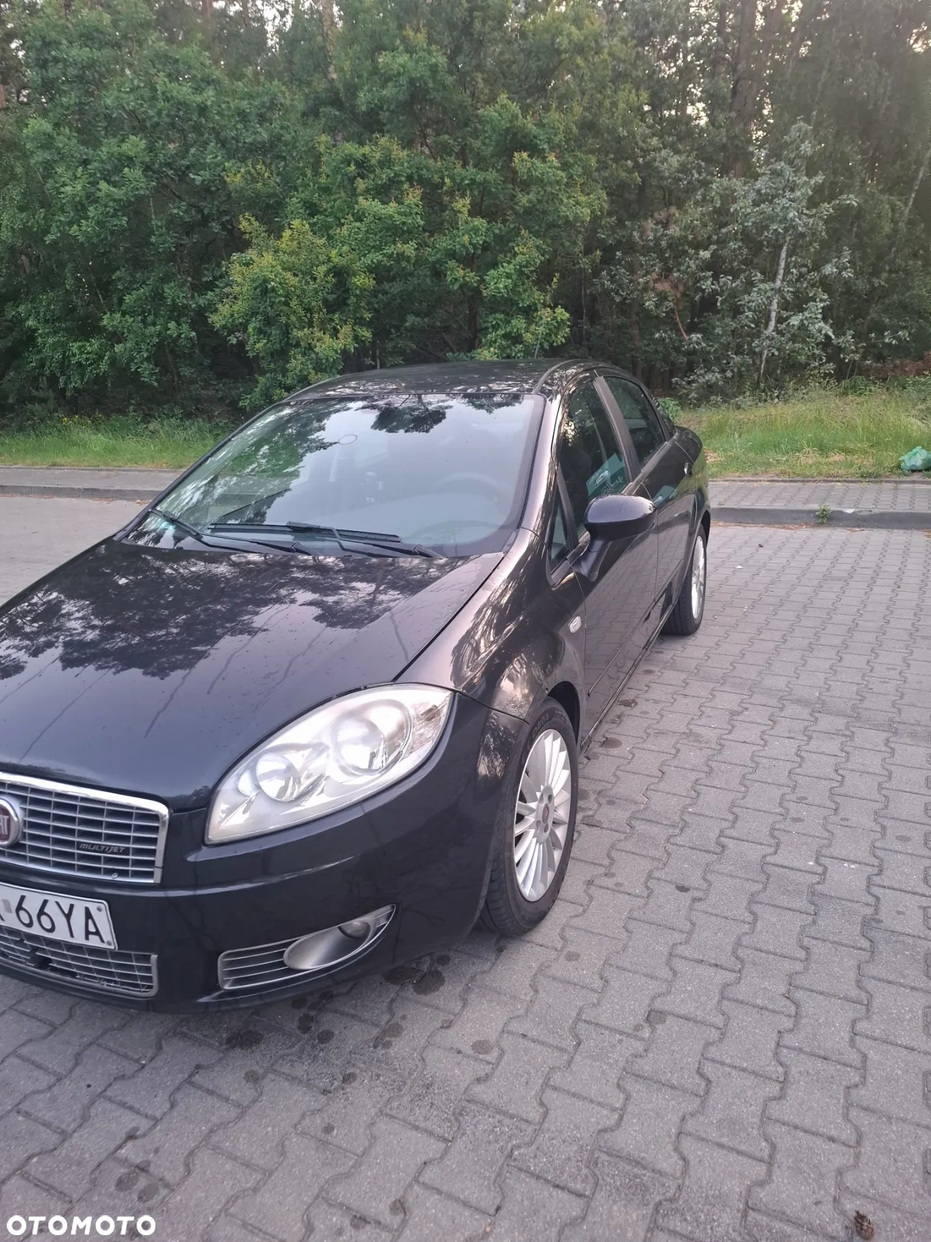 Fiat Linea 1.3 MJ 16V Active - 9
