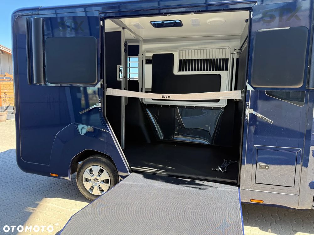 Renault MASTER IV 5-osobowy, Nowy koniowóz STX Automat, GWARANCJA - 22