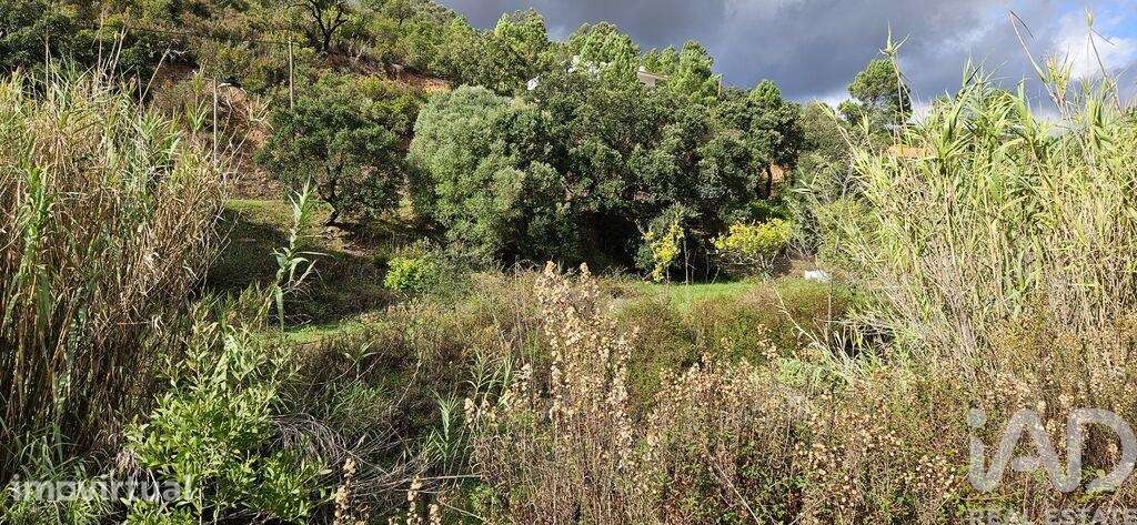 Terreno Agrícola em Mexilhoeira Grande - Grande imagem: 5/25
