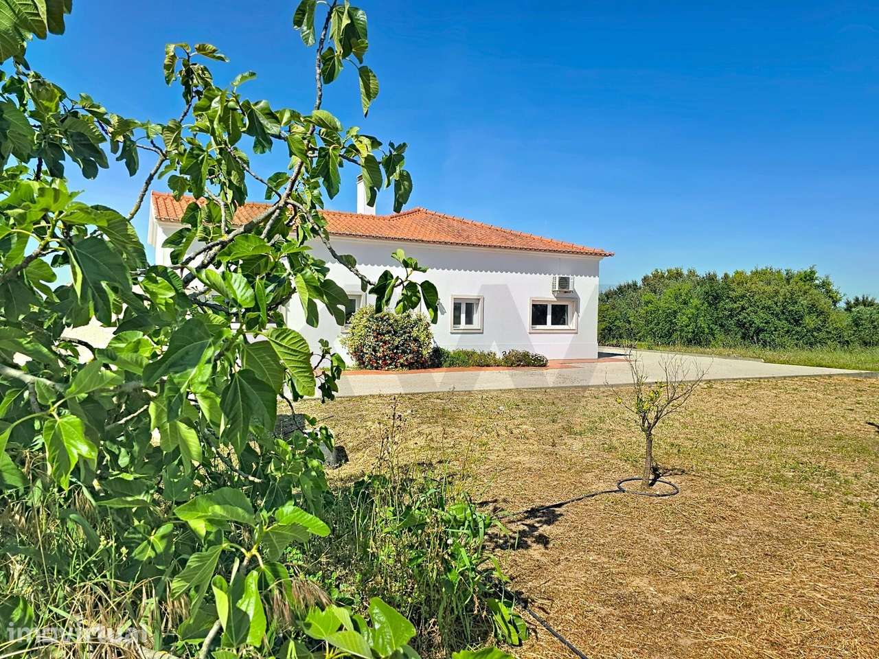 Quinta com Moradia térrea T2 transformável em T3, com privacidade em P - Grande imagem: 4/33