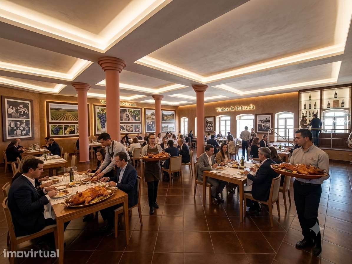 Oportunidade  investimento vinho Bairrada  transformação apartamentos - Grande imagem: 2/24