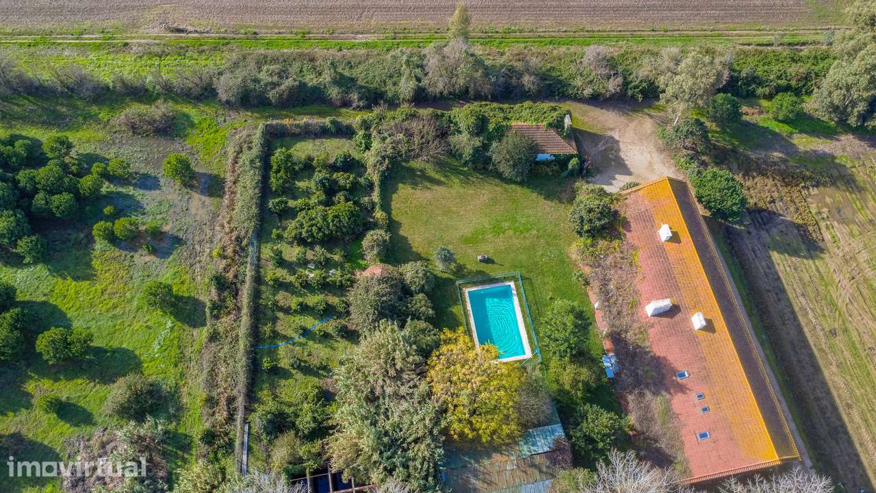 Quinta 25ha com rendimento e Alojamento Local - Grande imagem: 5/47