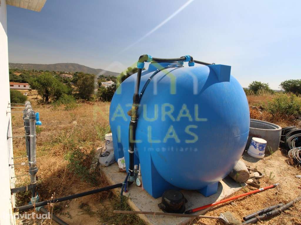 Terreno Rústico Plano em Pechão | Arrendamento - Grande imagem: 3/5