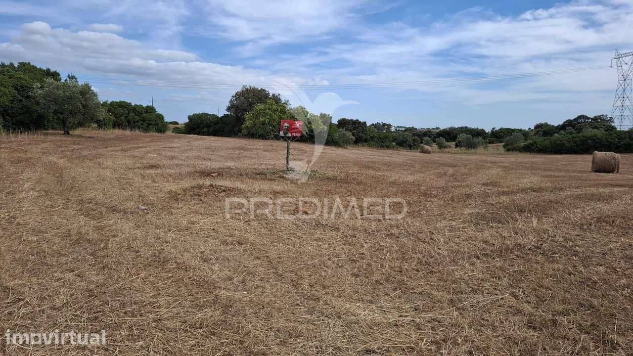 Terreno Rústico com 2,19 ha em Achete, Santarém. - Grande imagem: 2/19