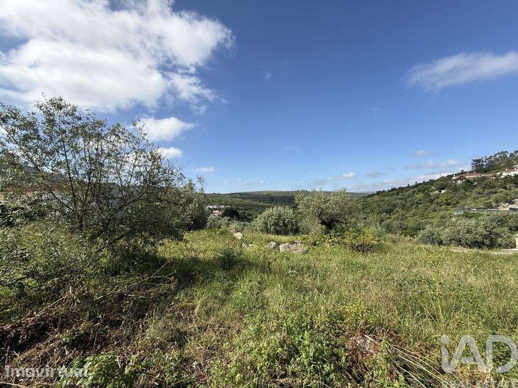 Terreno em Alqueidão da Serra - Grande imagem: 3/20