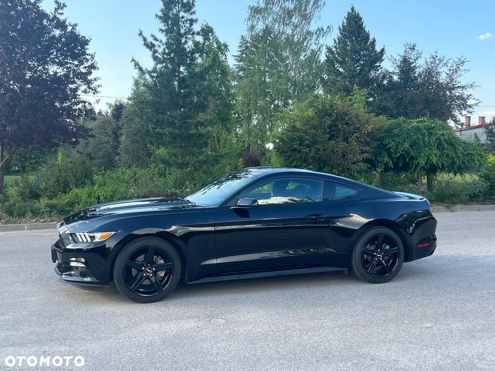 Ford Mustang 2.3 EcoBoost - 12