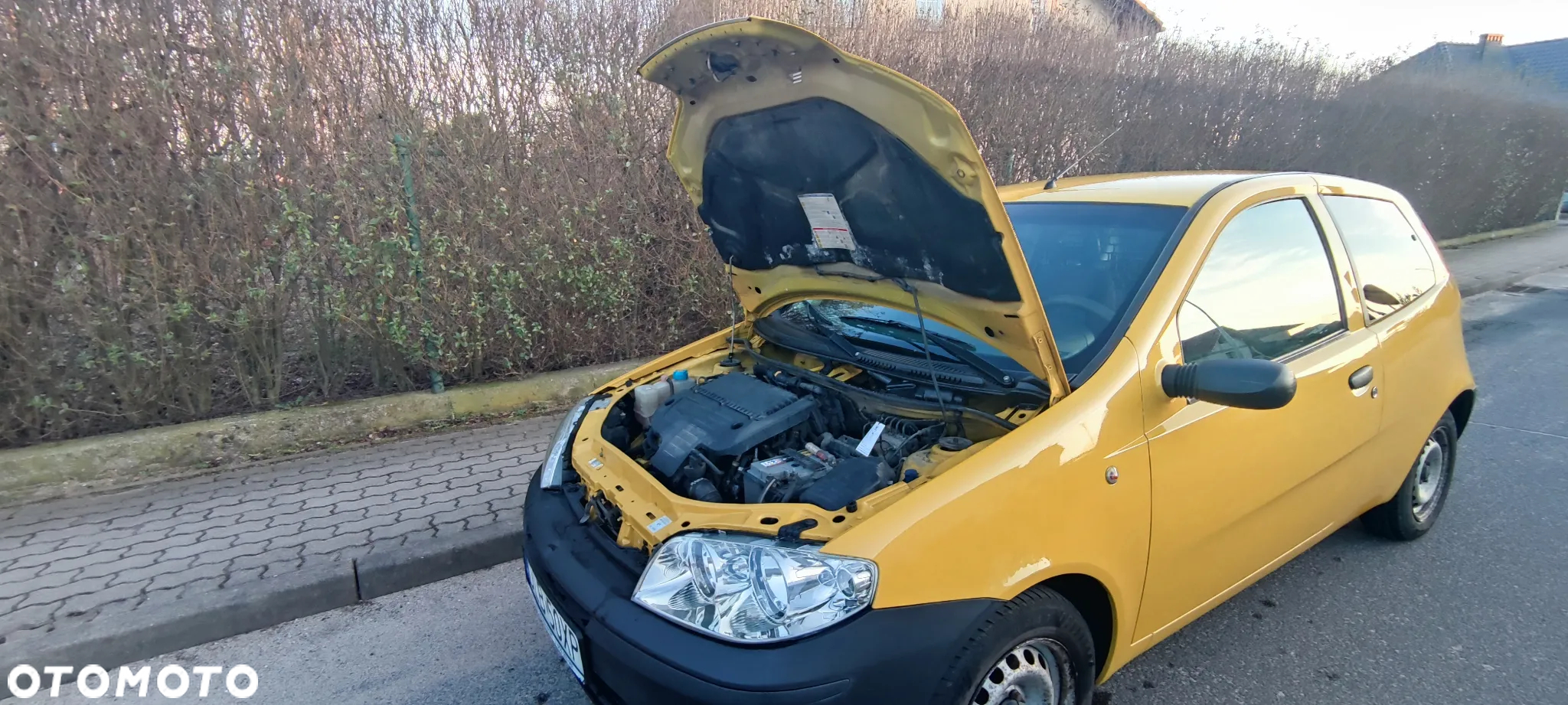 Fiat Punto - 20