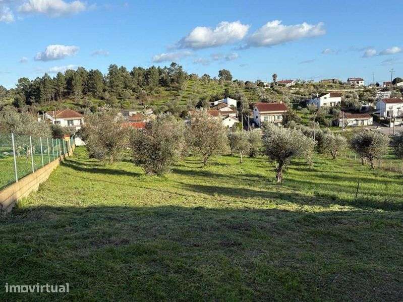 TERRENO URBANO COM 1.180 M² | MOURISCAS, ABRANTES - Grande imagem: 5/5