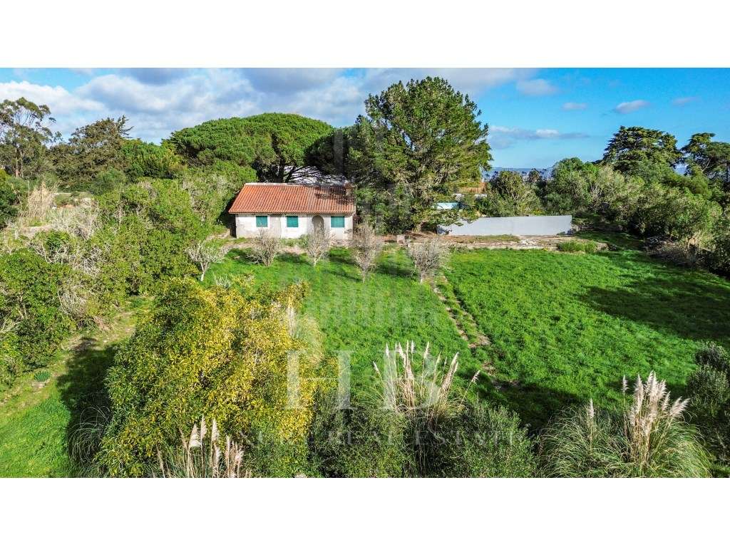 Terreno Com Projeto Aprovado | Casal da Granja | Sintra - Grande imagem: 5/28