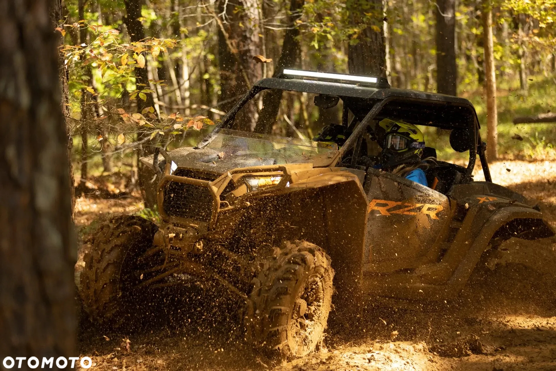Polaris RZR - 7