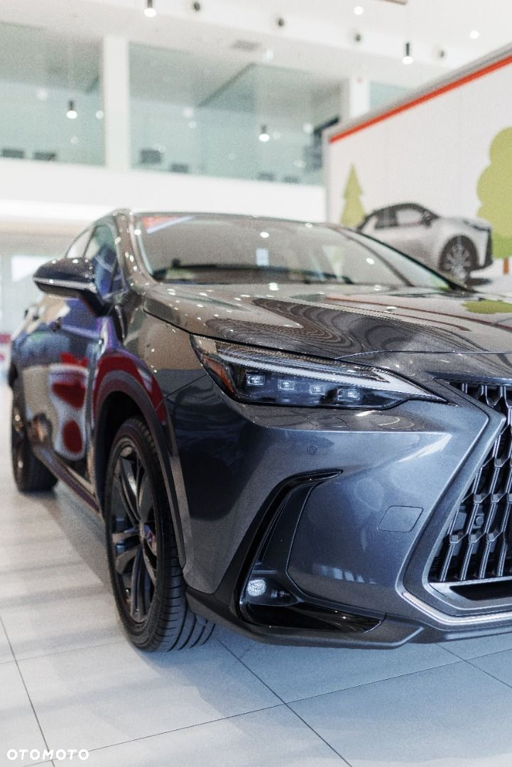 Lexus NX - 16