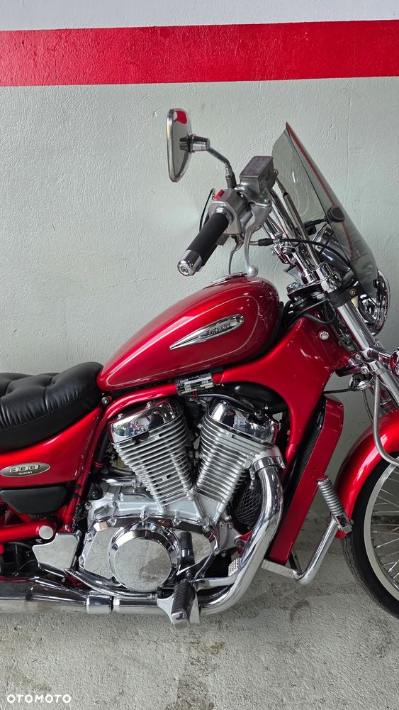 Suzuki Intruder - 10