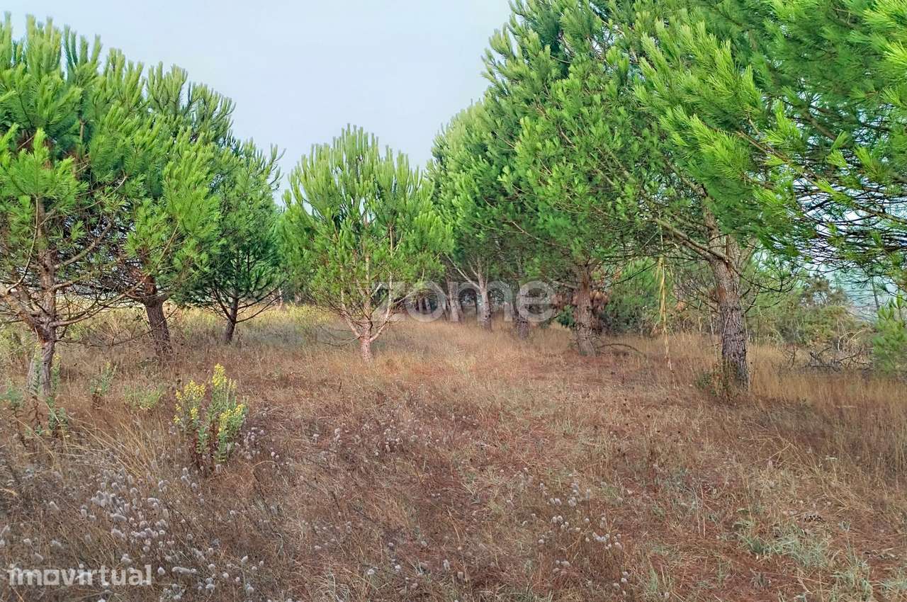 Terreno com 6.300 M² com potencial turístico - Grande imagem: 4/20