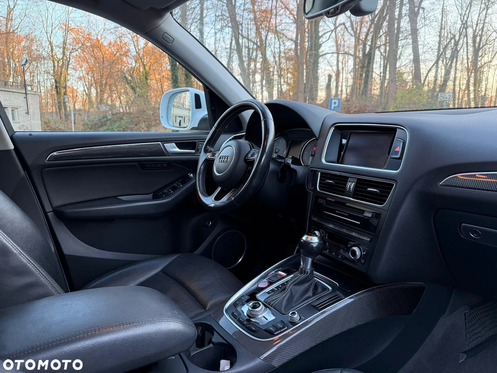 Audi SQ5 - 8