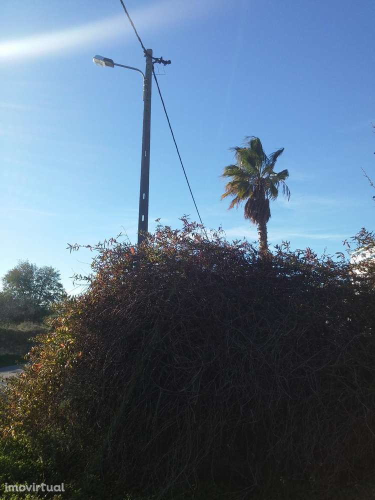 Terreno Rustico C/ 1640M2 Pechão C/ Vista Mar - Grande imagem: 4/5