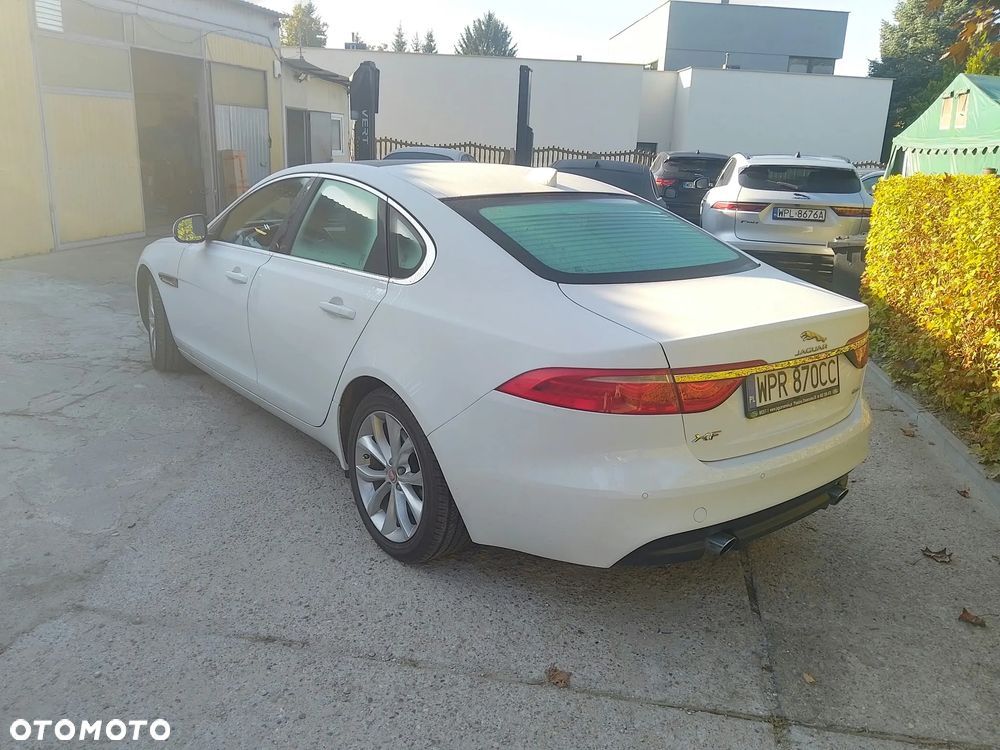 Jaguar Xf 2019 photo 2
